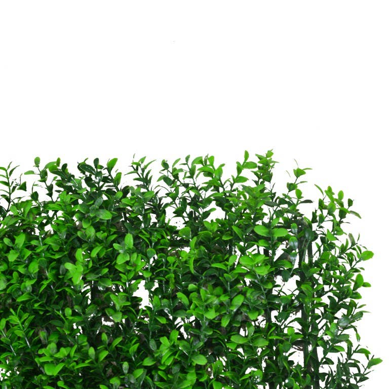 Green Boxwood Panel CM50x50x0.5 for wholesale on Faire0