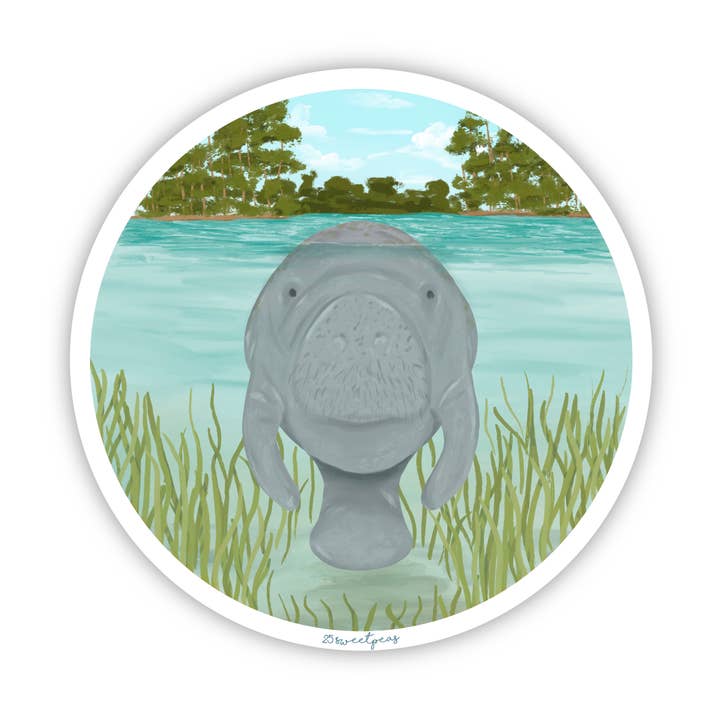 25 Sweetpeas - Wholesale Sticker - Manatee Sticker, Wildlife Sticker, Manatee in the Springs0