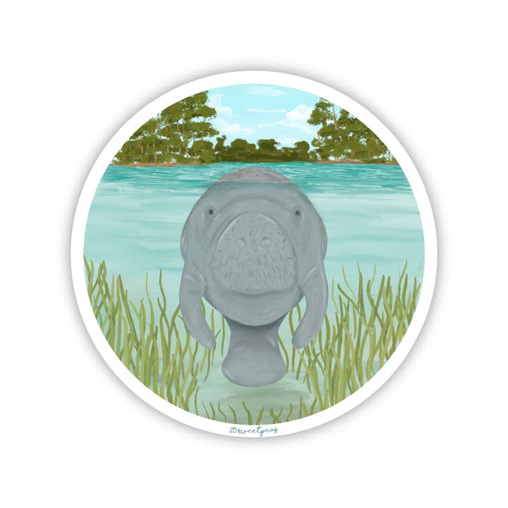 Manatee Sticker, Wildlife Sticker, Manatee in the Springs for wholesale by 25 Sweetpeas