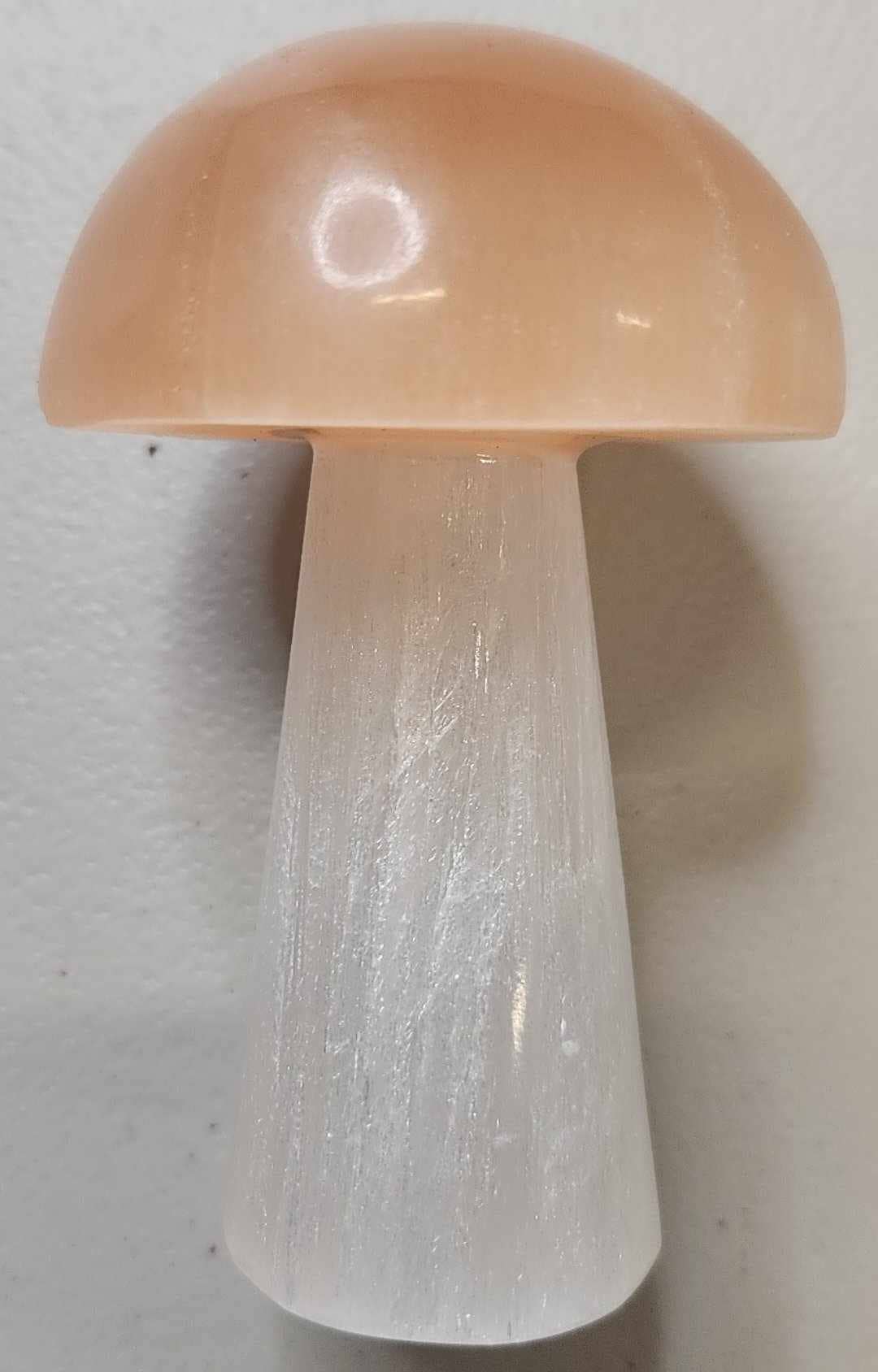 Midnight,Moonlight & Magick - Vente Pierre et cristal de spiritualité - Champignons de 10 cm0