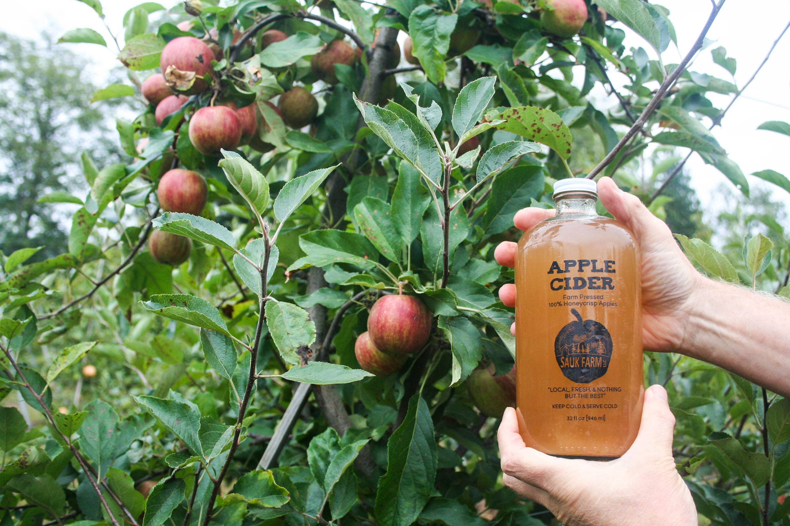 Honeycrisp Pure Pressed Apple Cider Juice Bottle - Tree Top