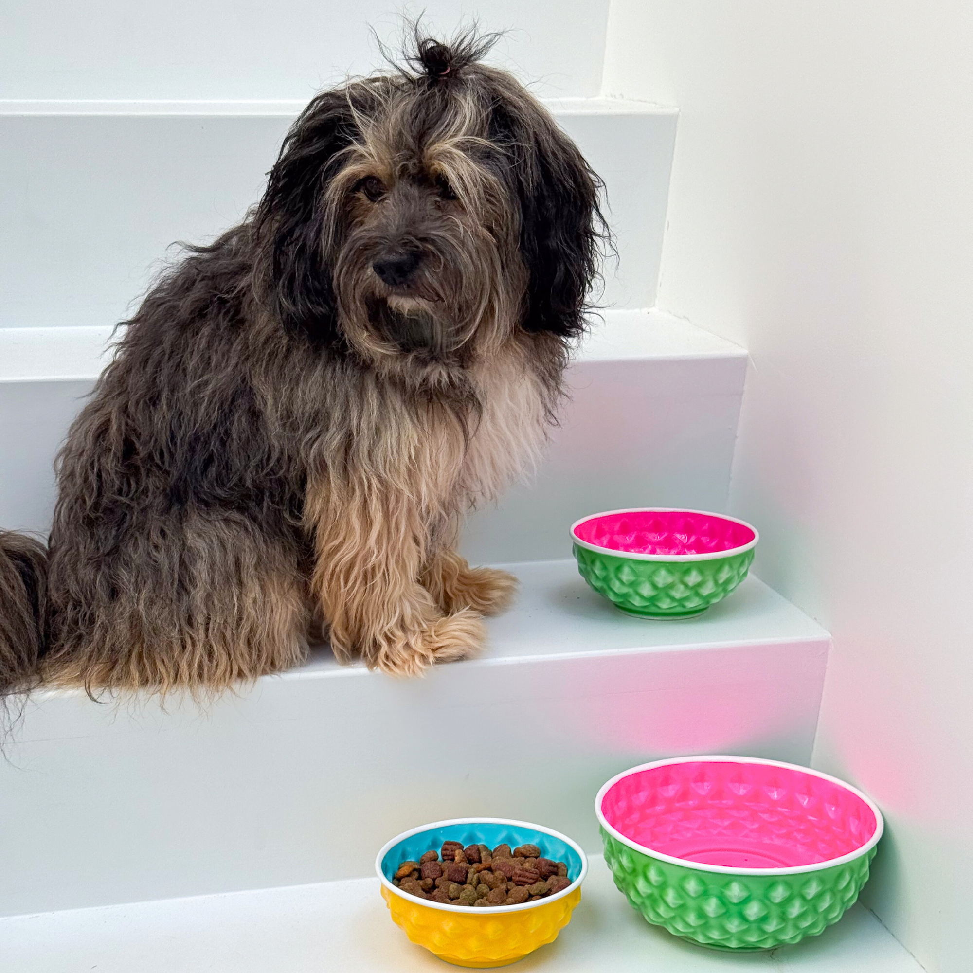 Green Watermelon Food & Water Bowl S (16 cm x 7 cm) for wholesale on Faire1