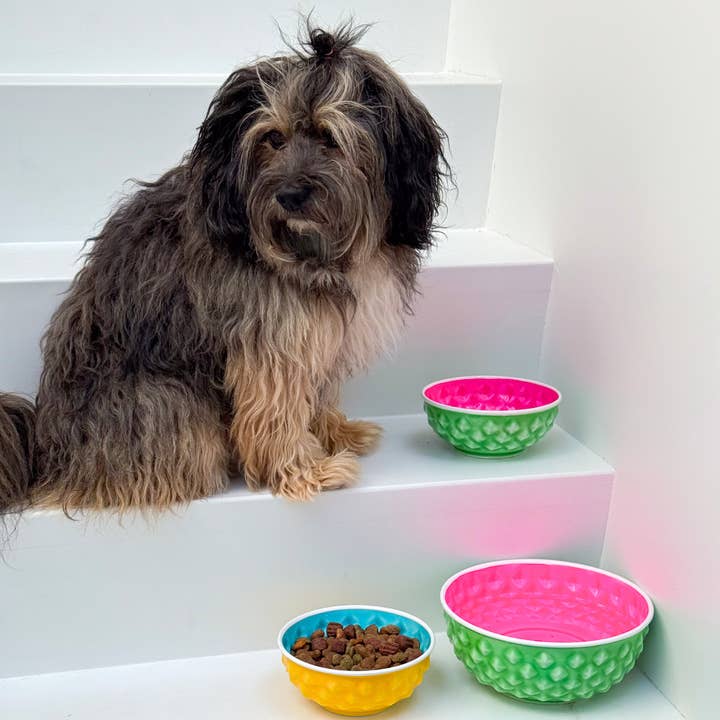 Green Watermelon Food & Water Bowl S (16 cm x 7 cm) for wholesale on Faire1