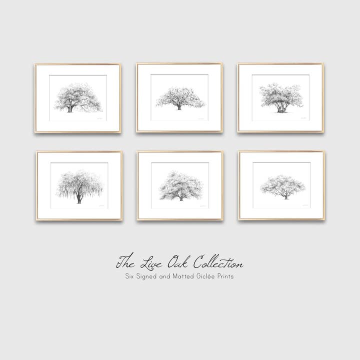 Fly Young Studio - Wholesale Art Print - Hunter Oak Tree - Southern Live Oak Tree Signed Art Print6