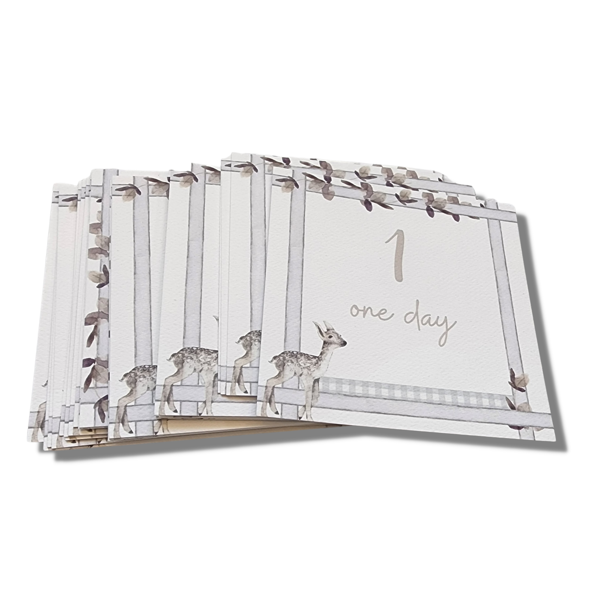 Curious Baby - Wholesale Milestone Art/Keepsake - Kids & Baby - Infant Milestone + Memory Cards (0-12 months)2