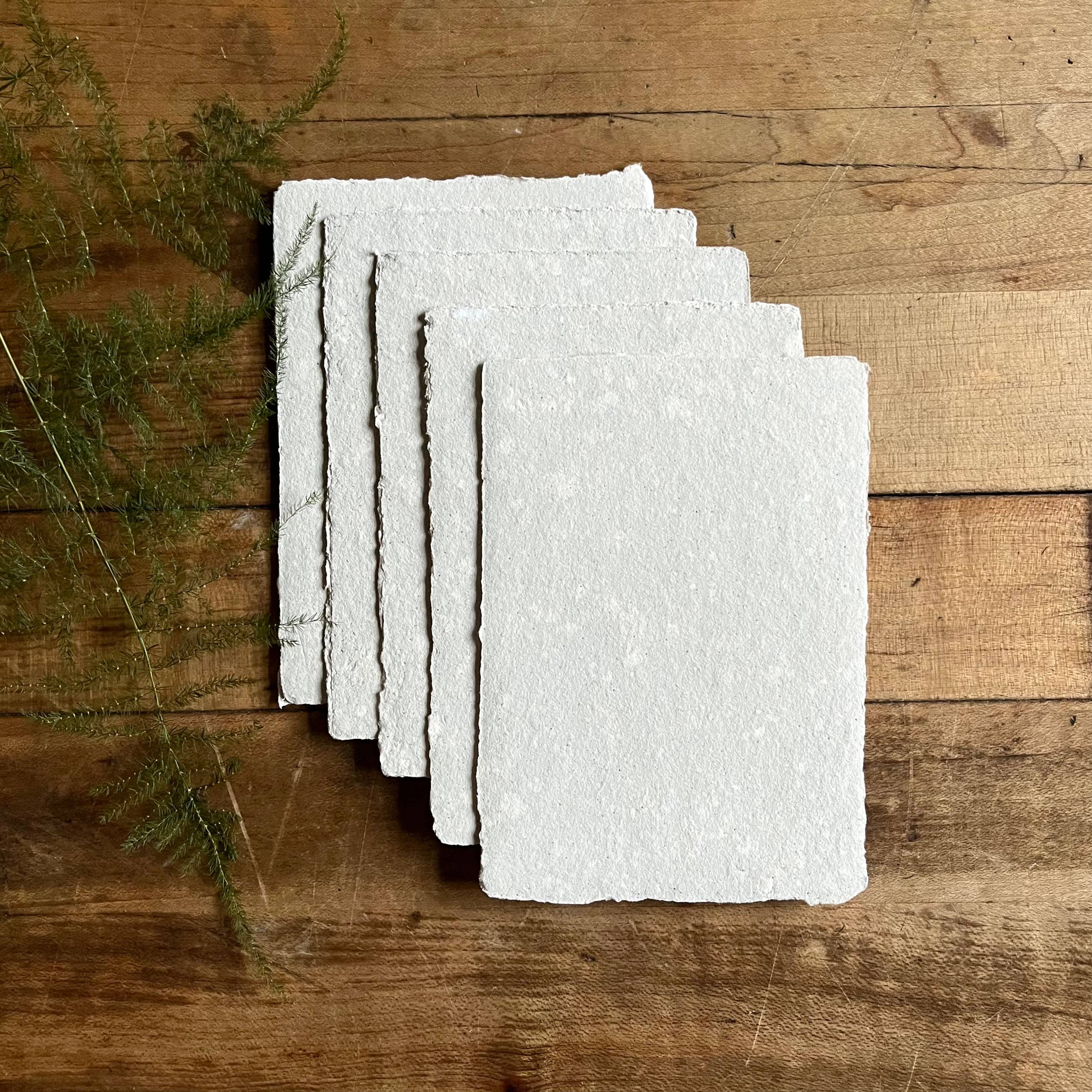 Bat Flower Press - Wholesale Stationery/Notecard Set - Mini sets of cards with envelopes9