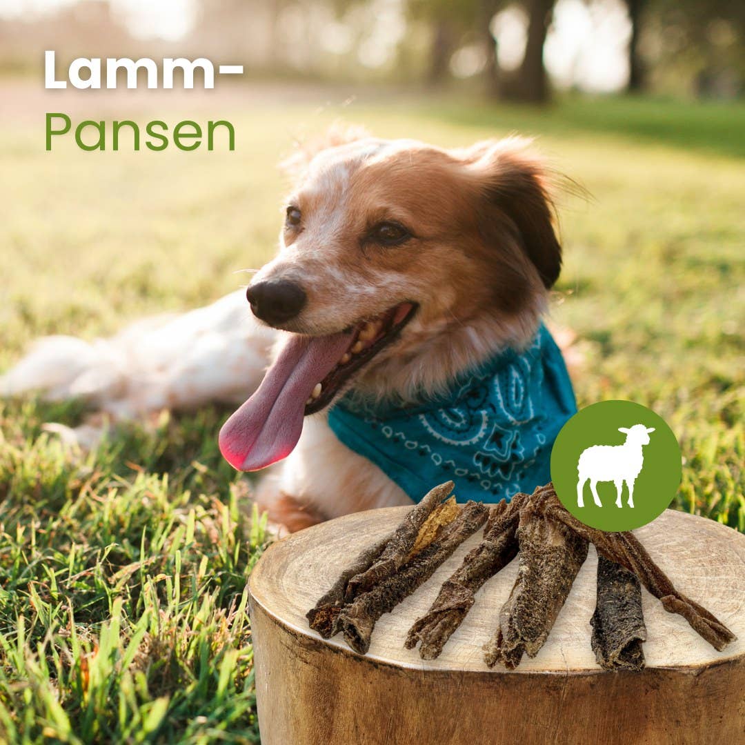 Kauartikel.com GmbH - Wholesale Pet Bone/Rawhide - Dog - Lamb rumen1