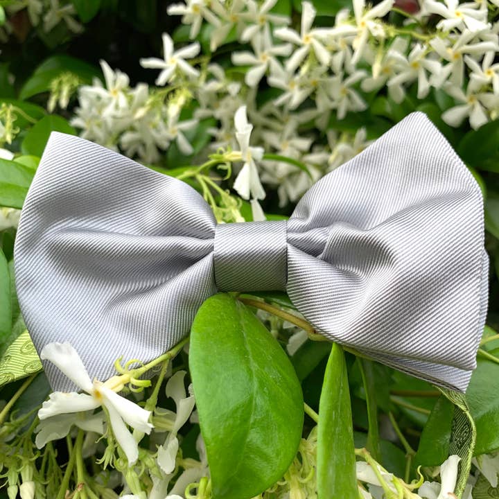 GRÅ REN SILKE FORMELL FLUGA CM 7X12 TORSK 318 för wholesale av C.C.&Co.Srl