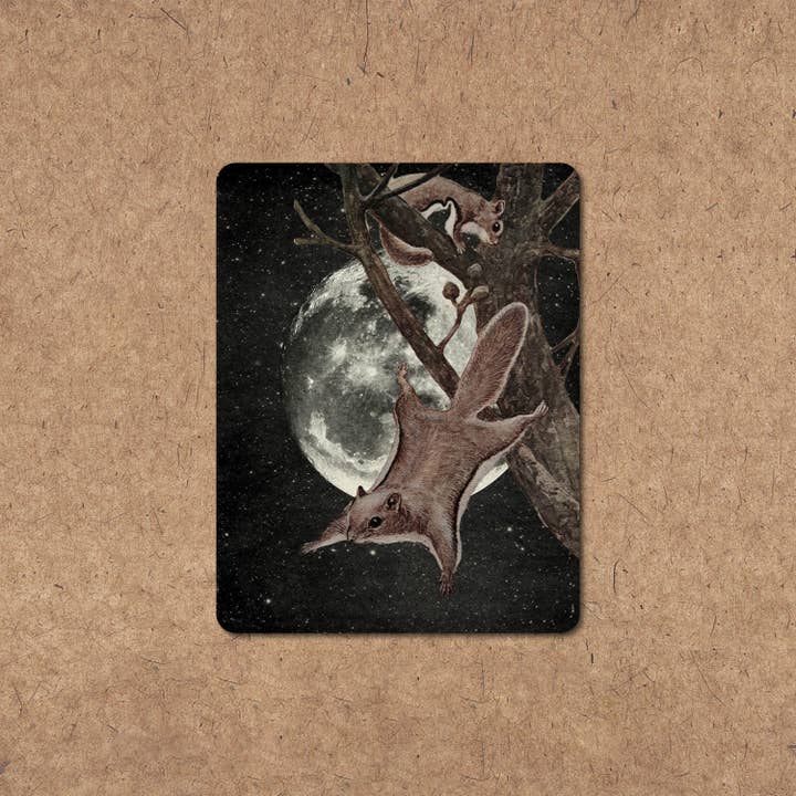 Squirrel Away Sticker for wholesale by The Galek Sea