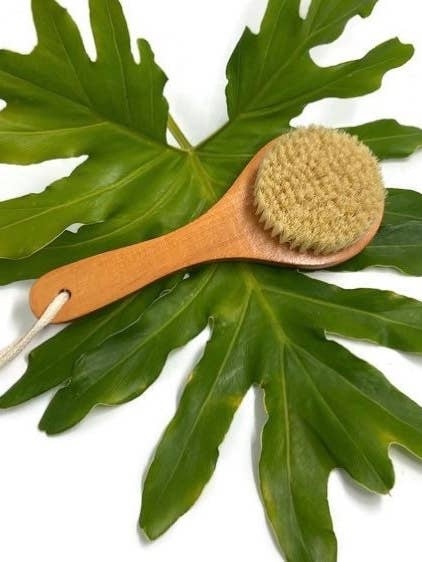 Natural Dry Body Brush Bath Accessory for wholesale by Wild Violetta