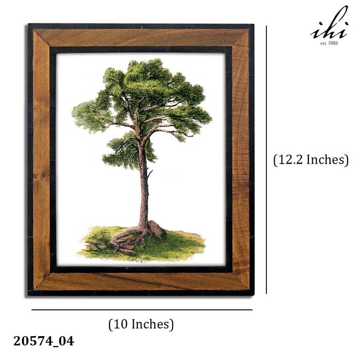 India Handicrafts Inc - Wholesale Picture Frame - LG White & Black Border Wood Photo Frames