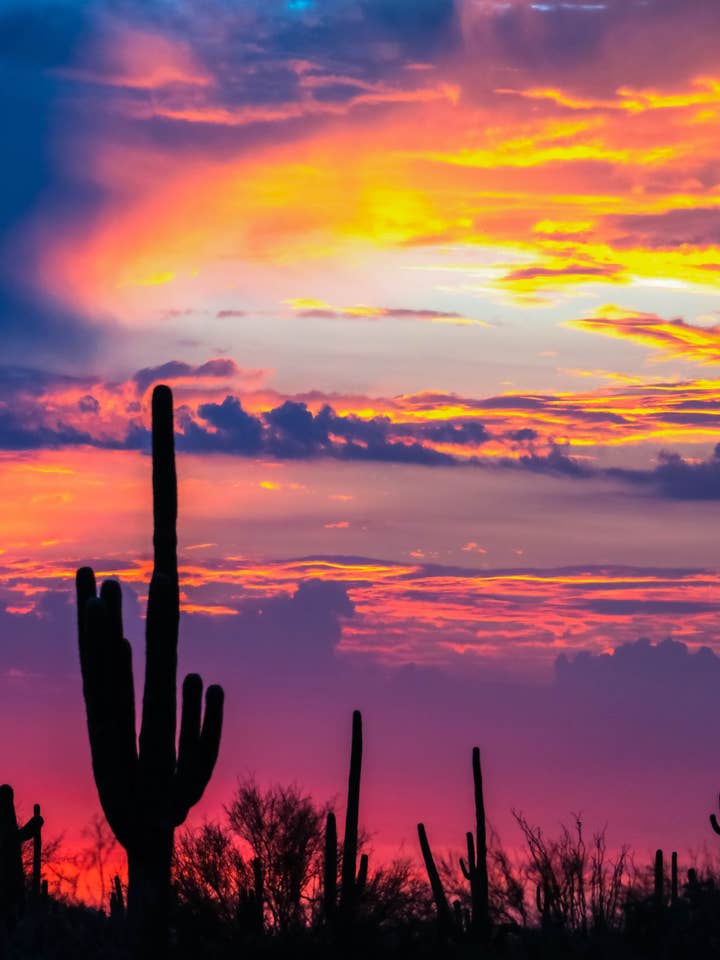 Arizona plakat - Arizona's Candy Skies for engroshandel hos Posters & Puzzles