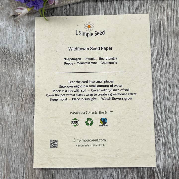 1 Simple Seed - Wholesale Everyday Greeting Card - Plantable Card | Echinacea2