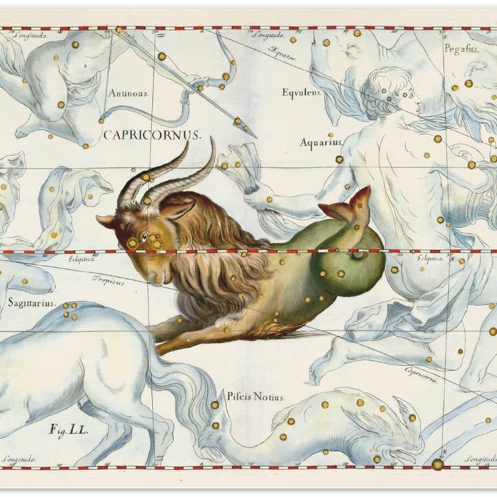 Zodiakaffisch Stenbocken för wholesale av Les vilaines curiosités