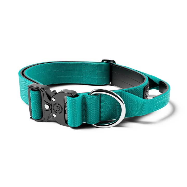 Coleira de Combate de 4cm com Pega e Clipe Classificado v2.0 #4 por atacado de BullyBillows Ltd