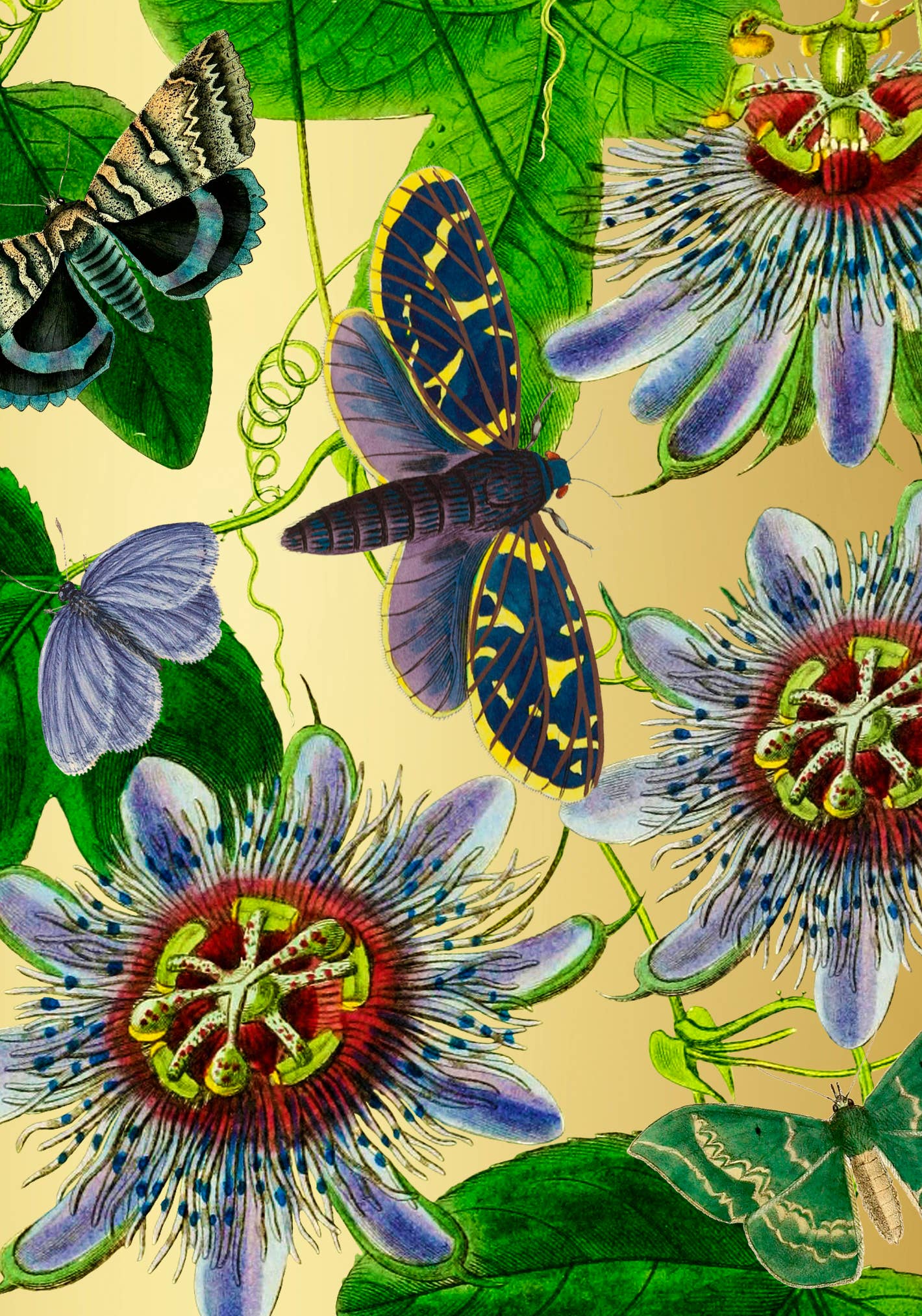 Madame Treacle (We cover US import duty) – wholesale Everyday greeting card – RS300P ~ Gold Foil Botanical Greeting Card        1