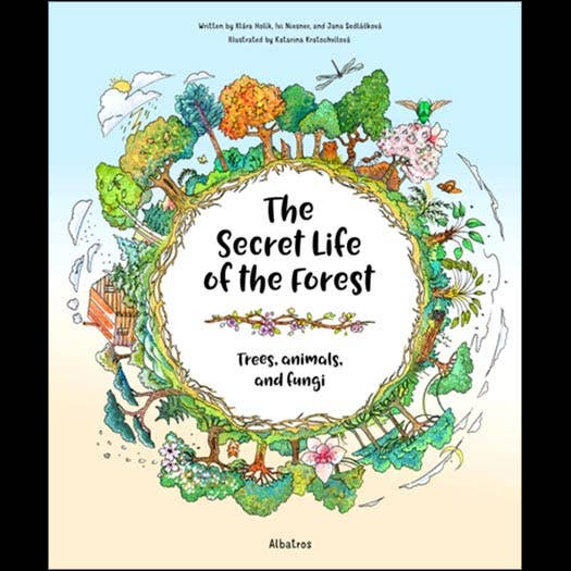 The Secret Life of the Forest: Trees, Animals, and Fungi for wholesale by VisionWorks LLC