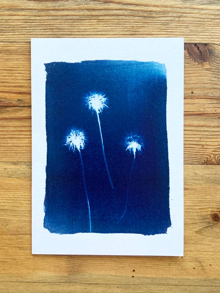 'Dandelions' botanische blauwe wenskaart voor wholesale door Made By McDuff