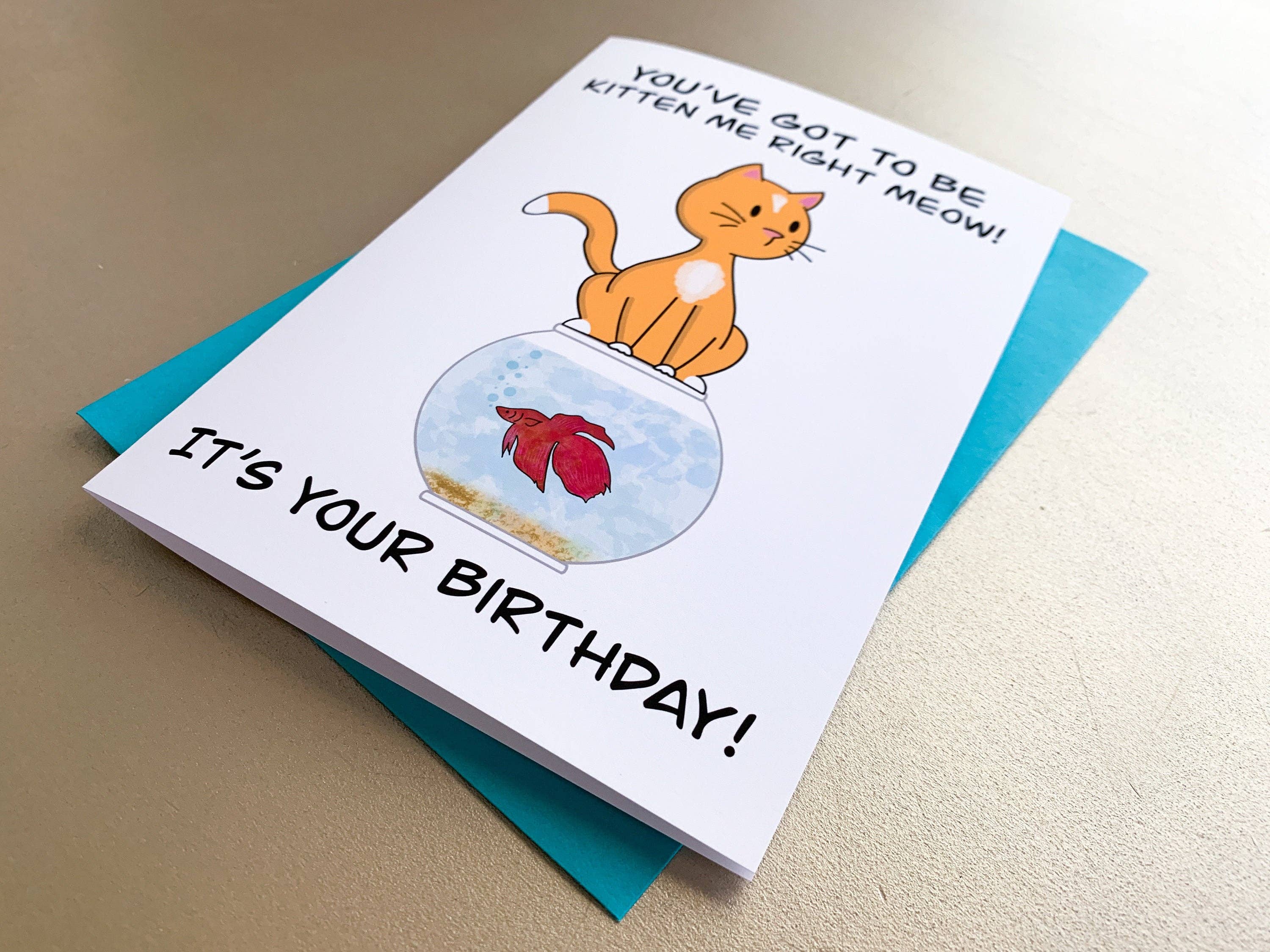 Stone Donut Design, LLC - Wholesale Birthday Card - You've Got to Be Kitten Me Pun Birthday Card6