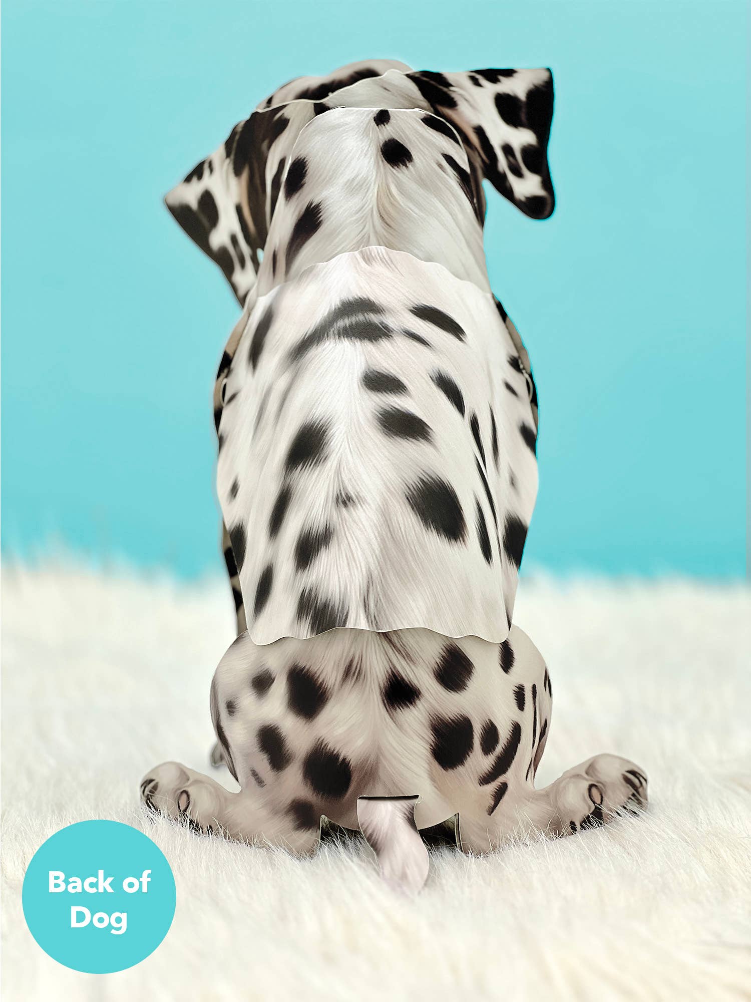 FreshCut Paper LLC - Wholesale Everyday Greeting Card - Dalmatian (6 Pop-up Greeting Cards)1