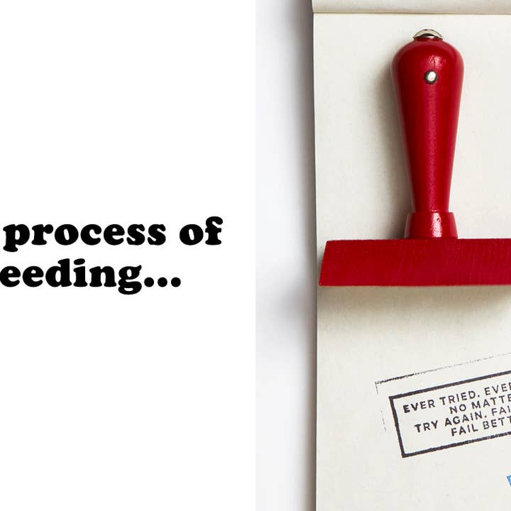 Wms&Co. - Vendita all'ingrosso Timbro in gomma/decorativo - Timbro di Gomma con Citazione Filosofica - Rettangolare18