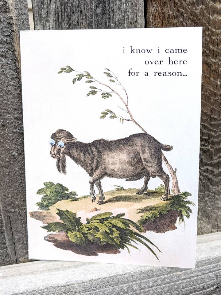 I Knew I Came Over Here for A Reason Greeting Card for wholesale by Shut Up Telescope
