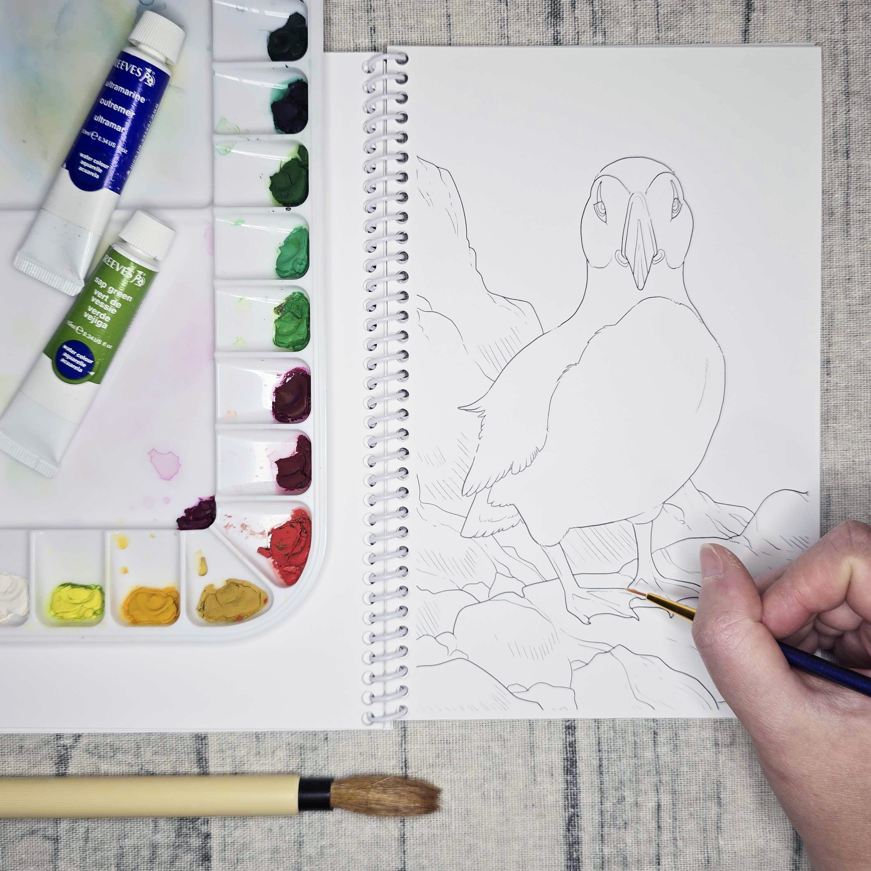 The Snow Finch – wholesale Målarbok - Vuxen – Kustnära Alaska konst målarbok8