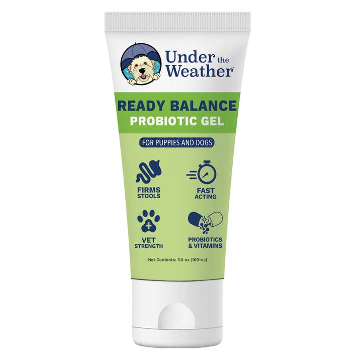Ready Balance Probiotic Supplement For Dogs and other Purchase Wholesale dog probiotic. Free Returns & Net 60 Terms on Faire trending on Faire.