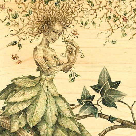 Carte Postale Bois Dame Nature pour la vente par Hironwoods