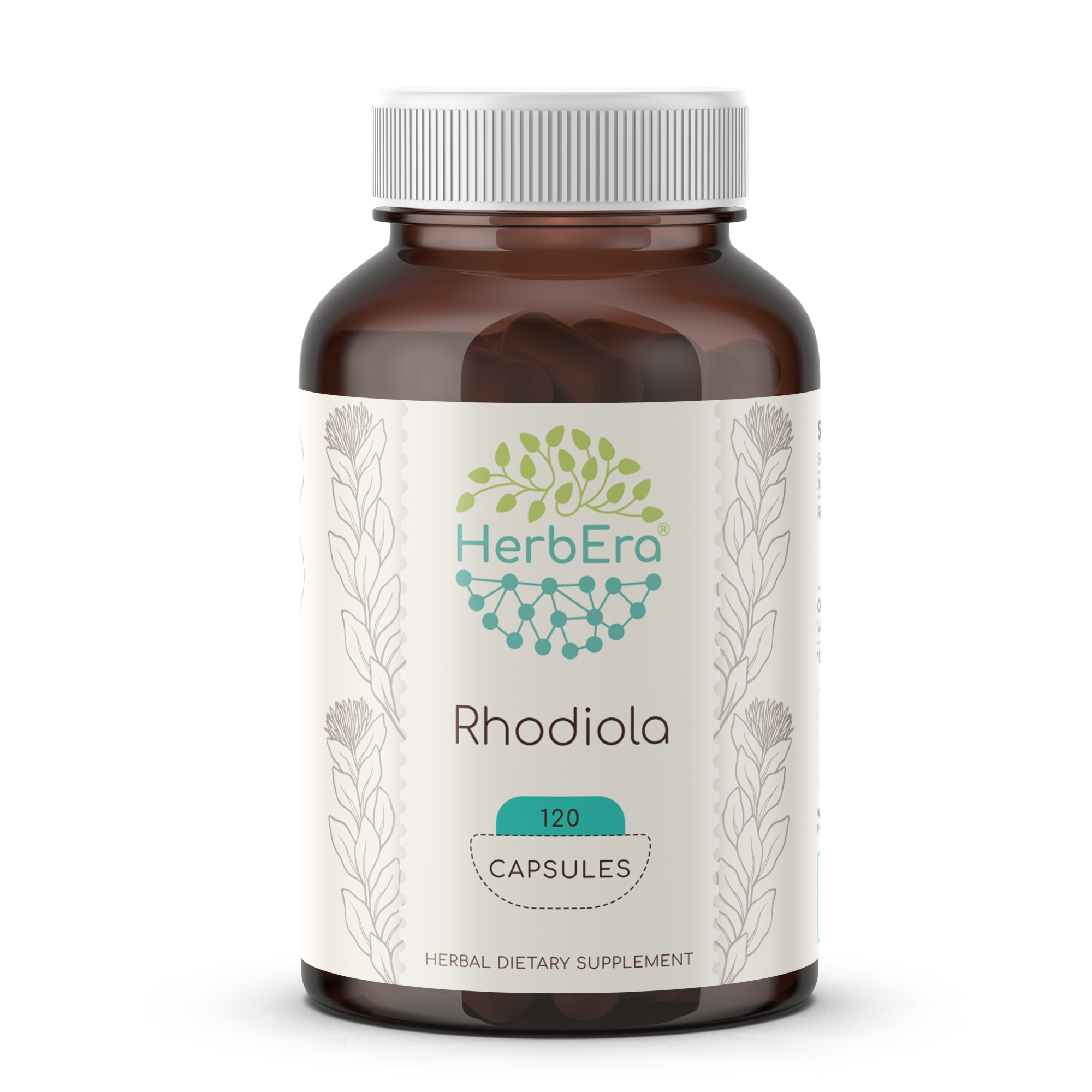 HerbEra - Wholesale Oral Supplement/Vitamin - Rhodiola Capsules2