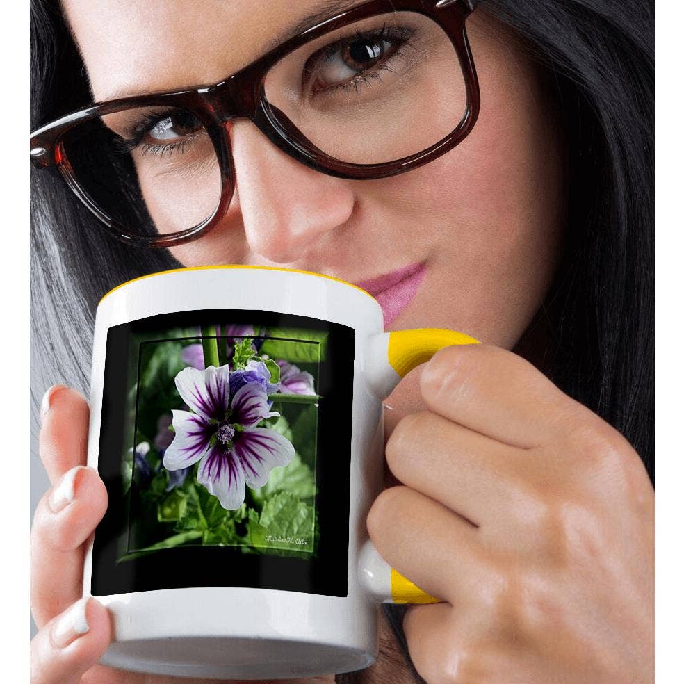 3dRose - Wholesale Coffee Mug - 3dRose, Maulva Flower - Photography Flowers, Mug1