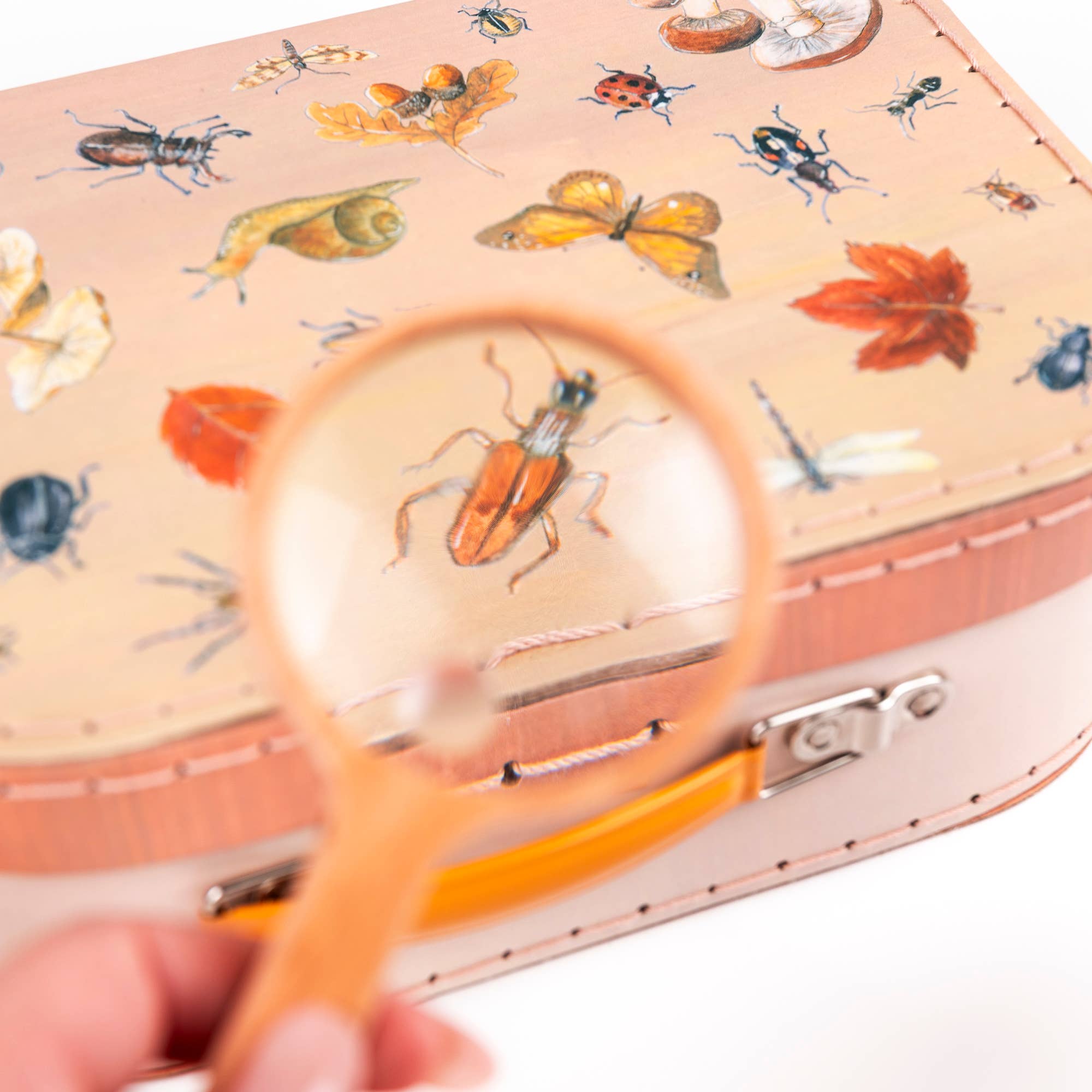 Egmont - Wholesale Wood Toy - Kids -  Explorer Kit7