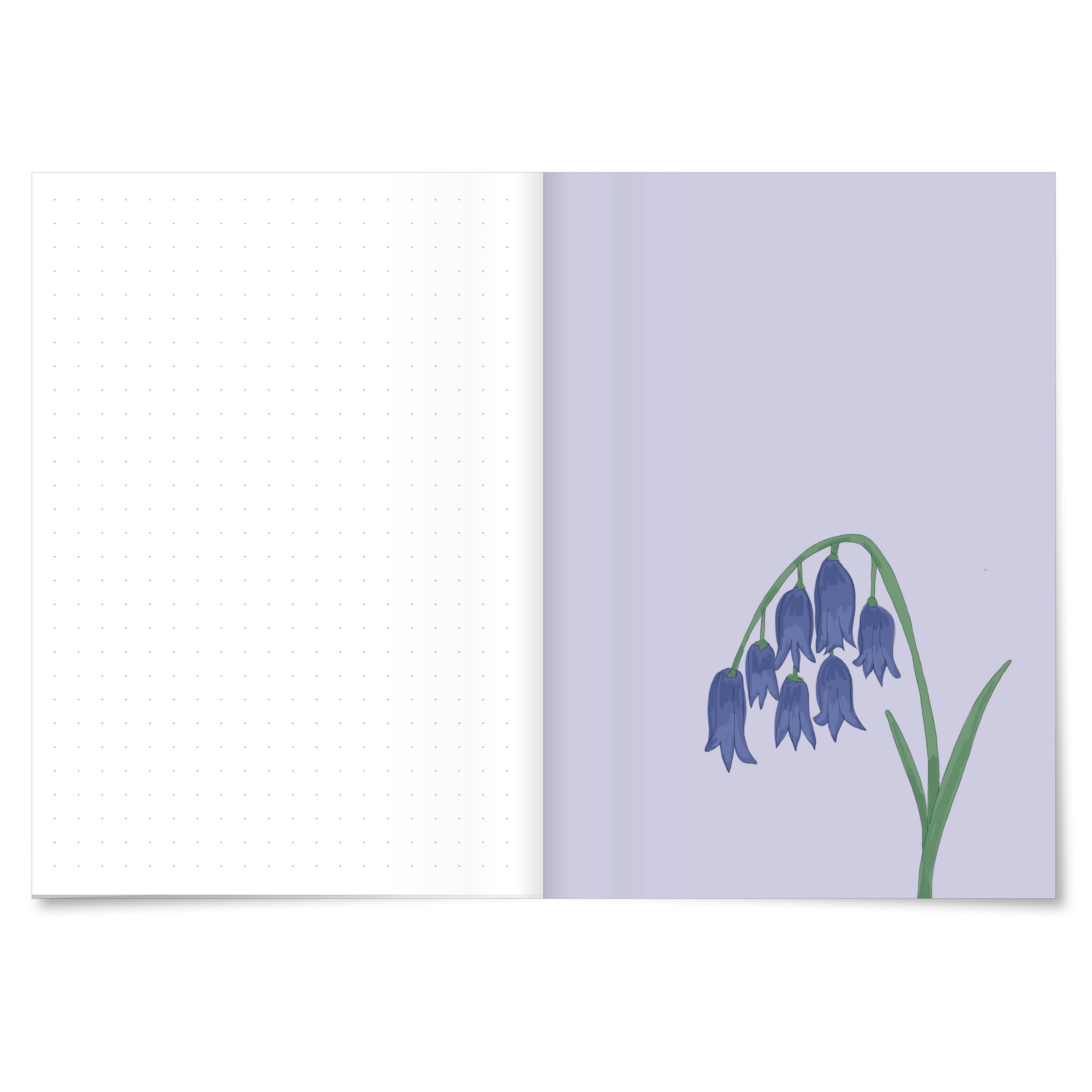 MIAO Papeterie - Wholesale Notebook - Bell | Notebook DINA63