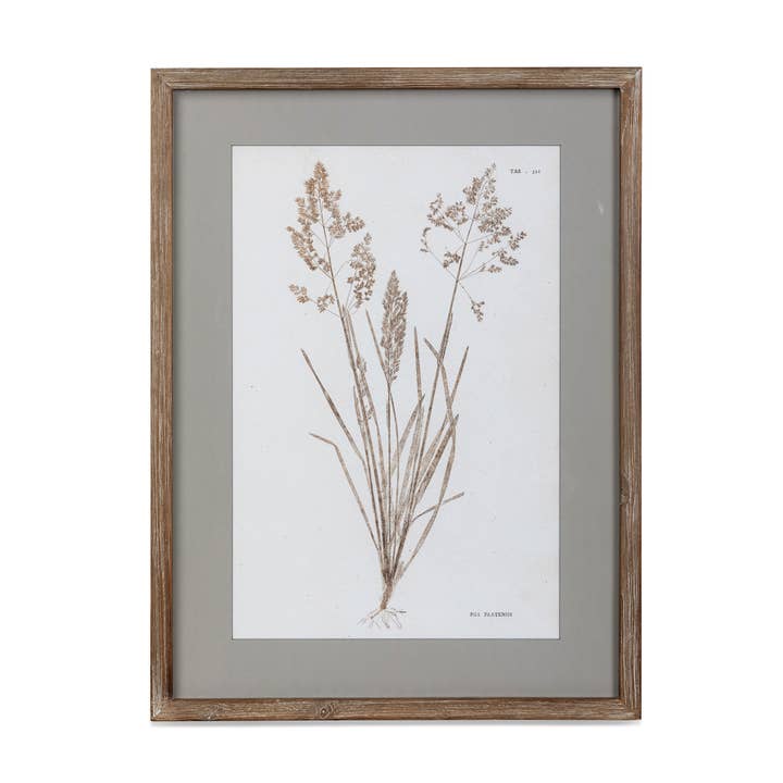 Park Hill Collection - Wholesale Wall Art Set - Framed Botanical Print6