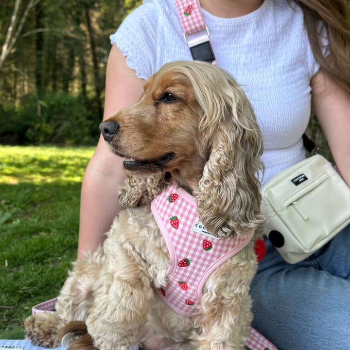 Cocopup London - Wholesale Pet Harness - Dog - Strawberry Picnic Pup Adjustable Neck HARNESS7