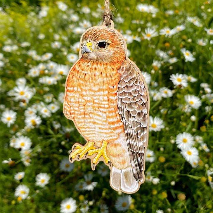 Red-shouldered Hawk Wood Print Ornament for wholesale by Allison Stoiser Art