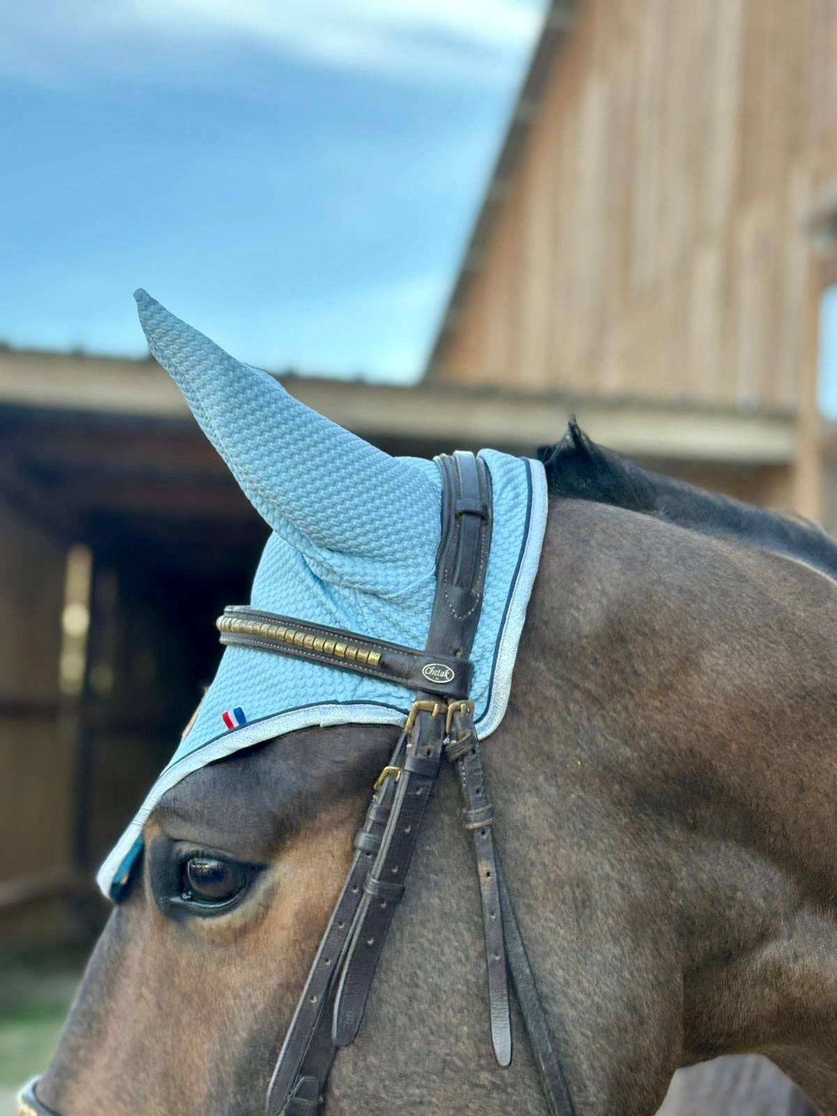 Athippique - Wholesale Horseback Riding Gear - Sky blue horse hat0
