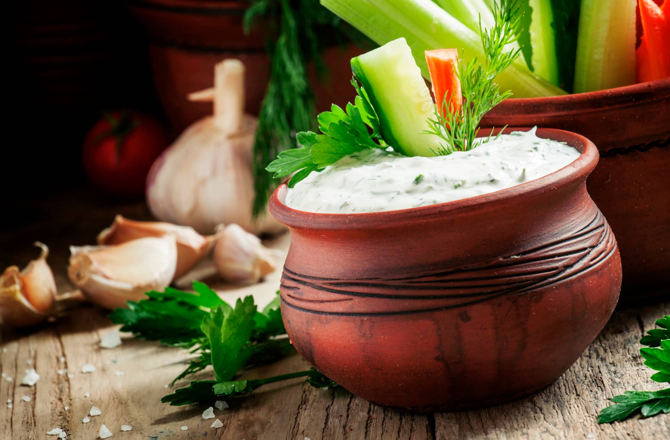 Rabbit Creek Gourmet - Wholesale Dip - Dilly Ranch Dip Mix-Multiple Uses in 1 Packet!1