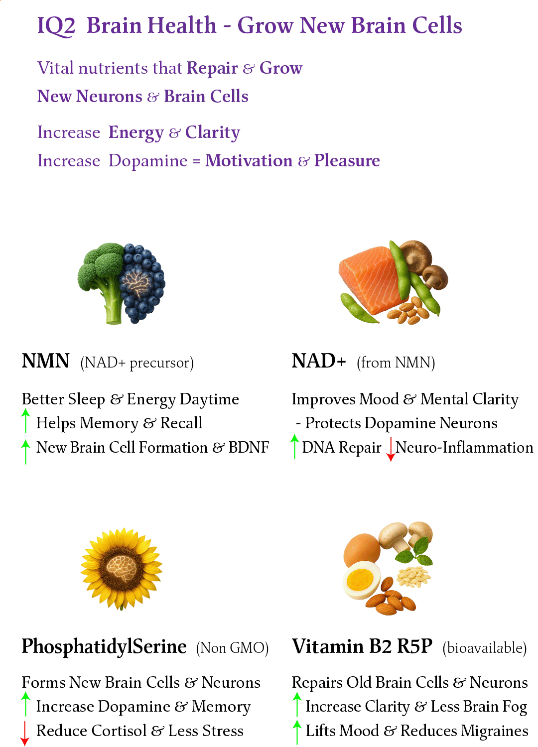 BioTech Life Sciences - Wholesale Oral Supplement/Vitamin - IQ2 NMN - Brain & Heart Health - Grow New Brain Cells1