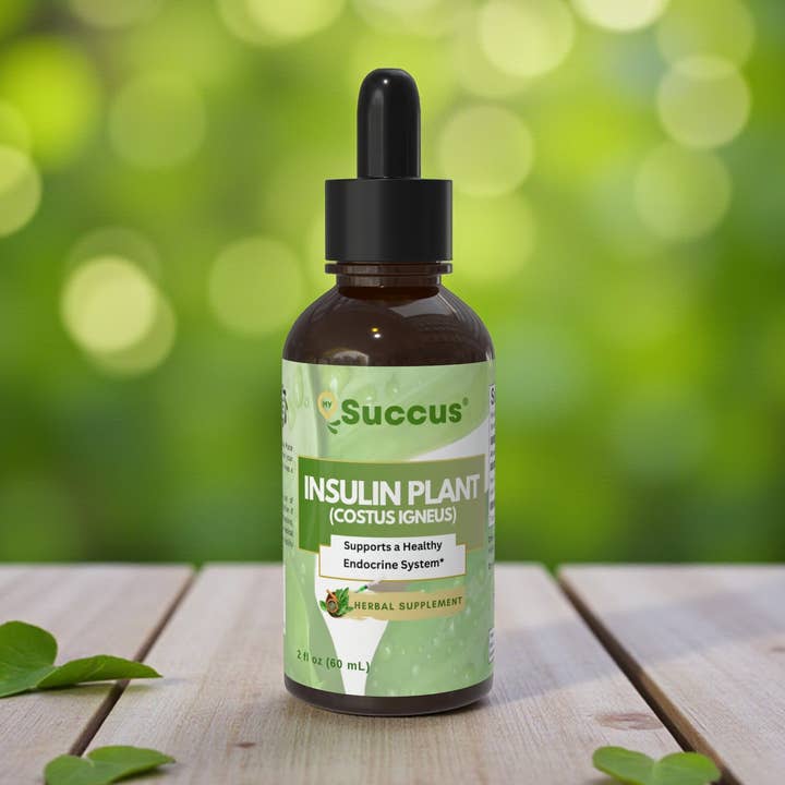 Insulin Plant Tincture - Premium Herbal Extract for wholesale by Succus