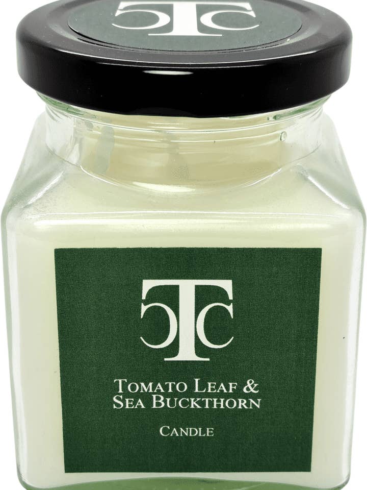 Jarra de vela perfumada de folha de tomate e espinheiro marítimo 40 horas por atacado de The Candle Company