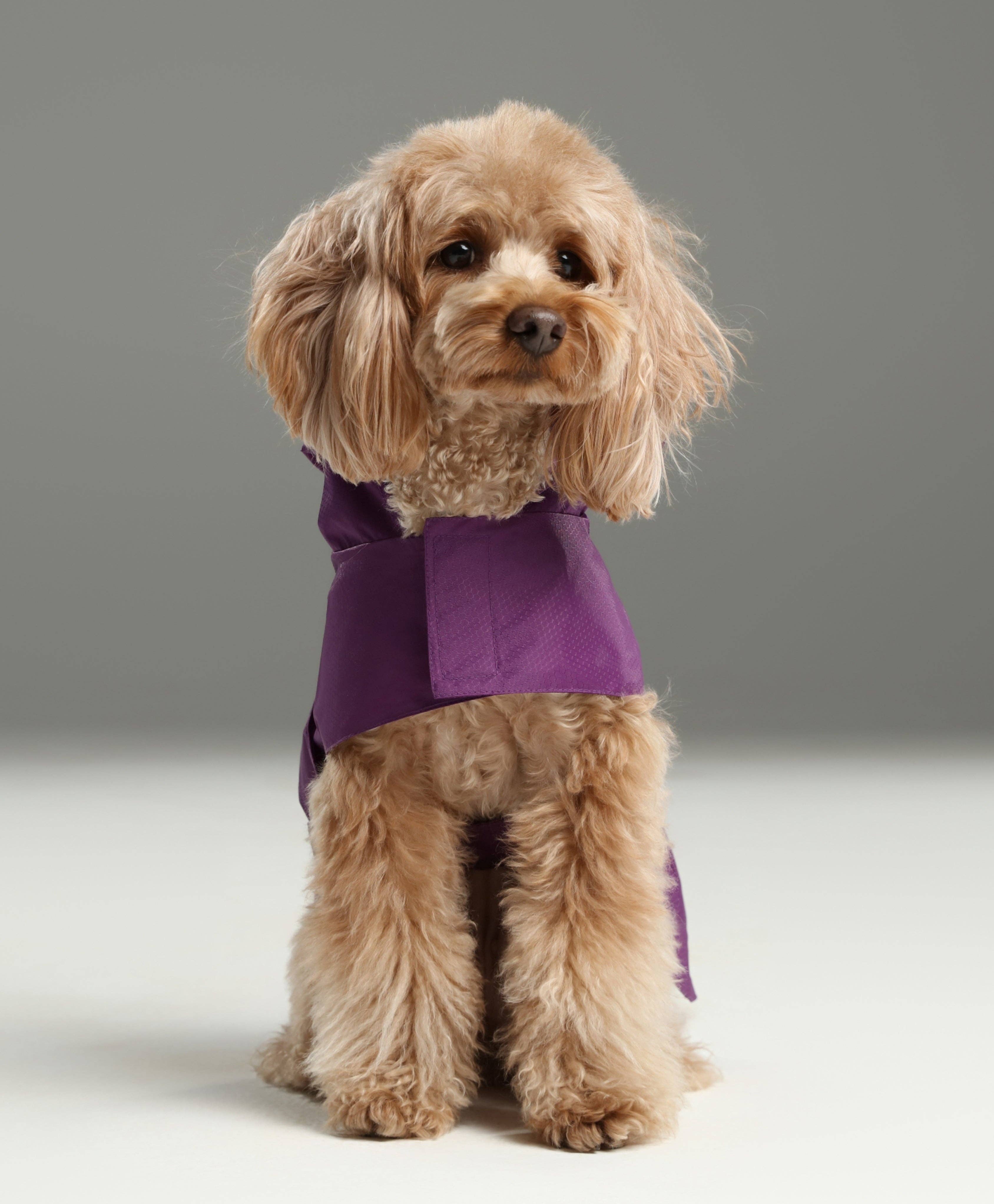 PEHOM - Venta al por mayor Chubasquero - Perros - Impermeable tipo cápsula - Morado1