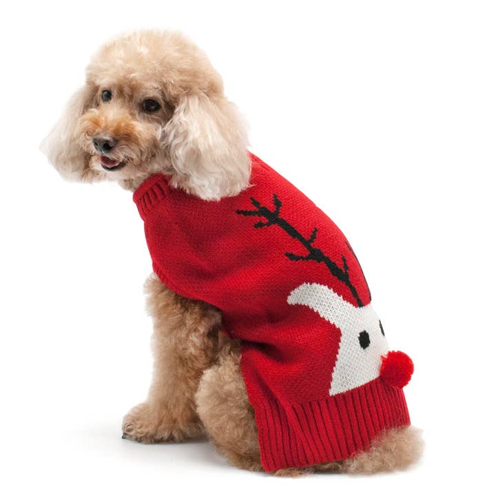 Dogo Pet - Wholesale Pet Sweater - Dog - Red Nose Reindeer Sweater