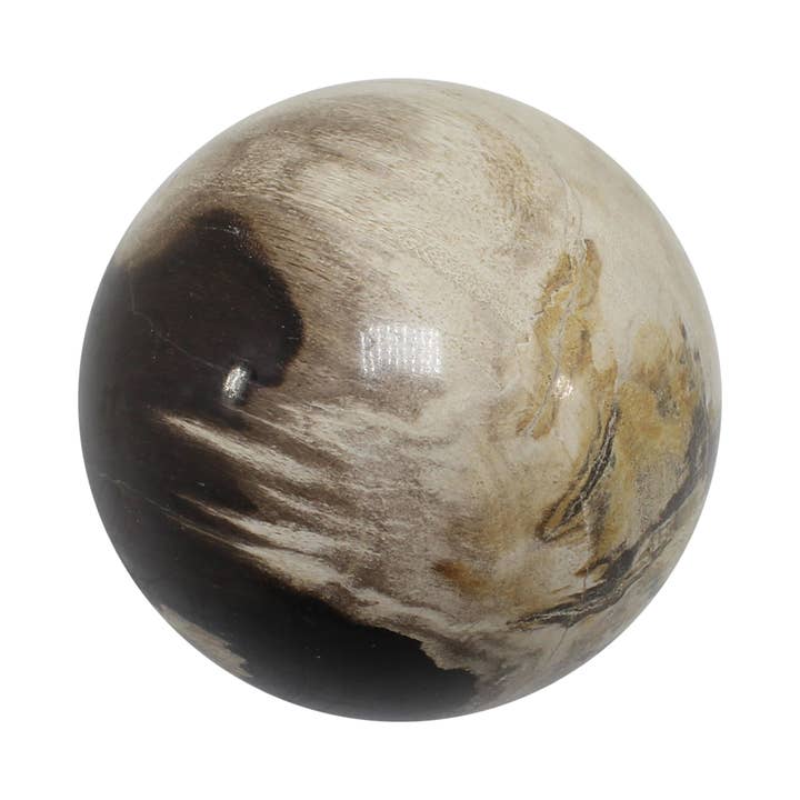 Quasar Gems USA – Großhandel Spiritueller Stein/Kristall – Versteinerte Holzsphären Groß (Indonesien)