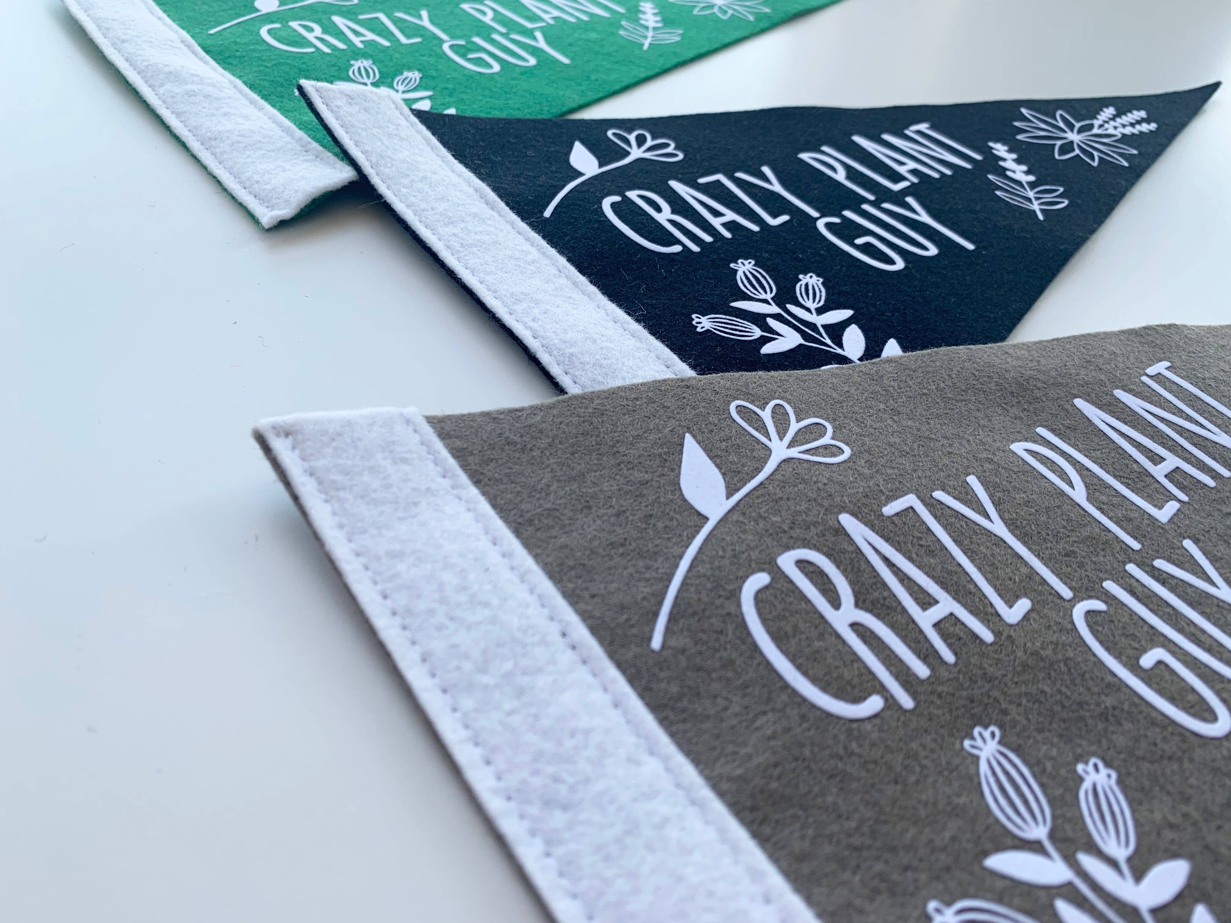 Flair City Supply Co - Wholesale Flag - Crazy Plant Guy Pennant4