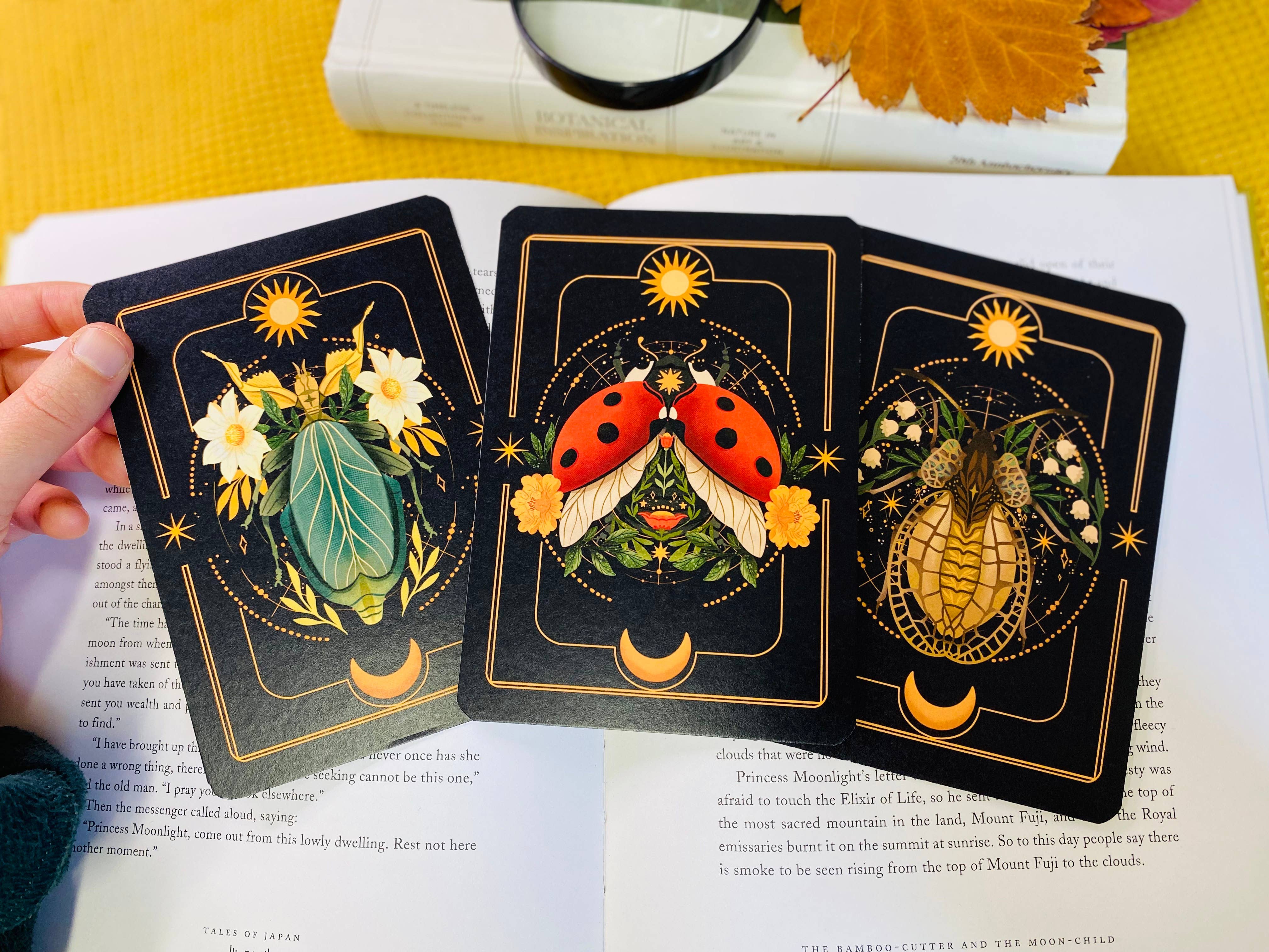 Split Moon Studios - Wholesale Art Print - A Set of Insect Art Prints - A6 Post Card Size - Artprint13