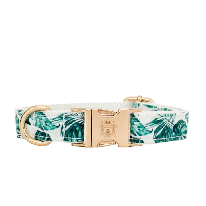 The Doggie Collar - Fiji for wholesale by Doggie Republic