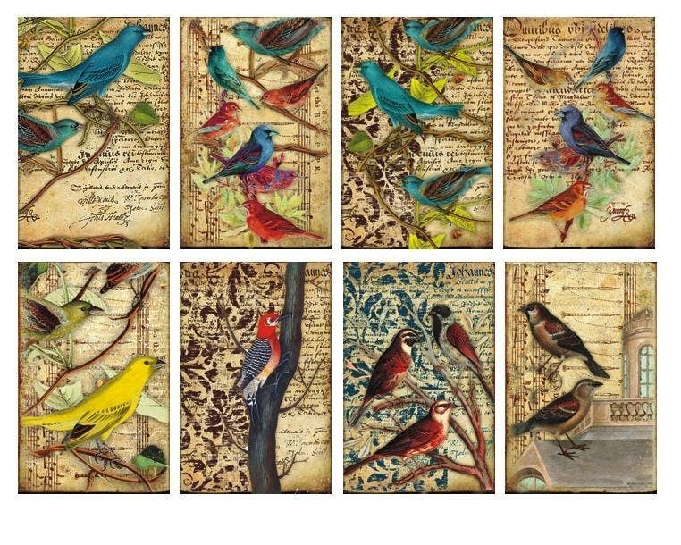 DECORER – wholesale Scrapbook – BIRDS - MINI Scrapbook Paper0
