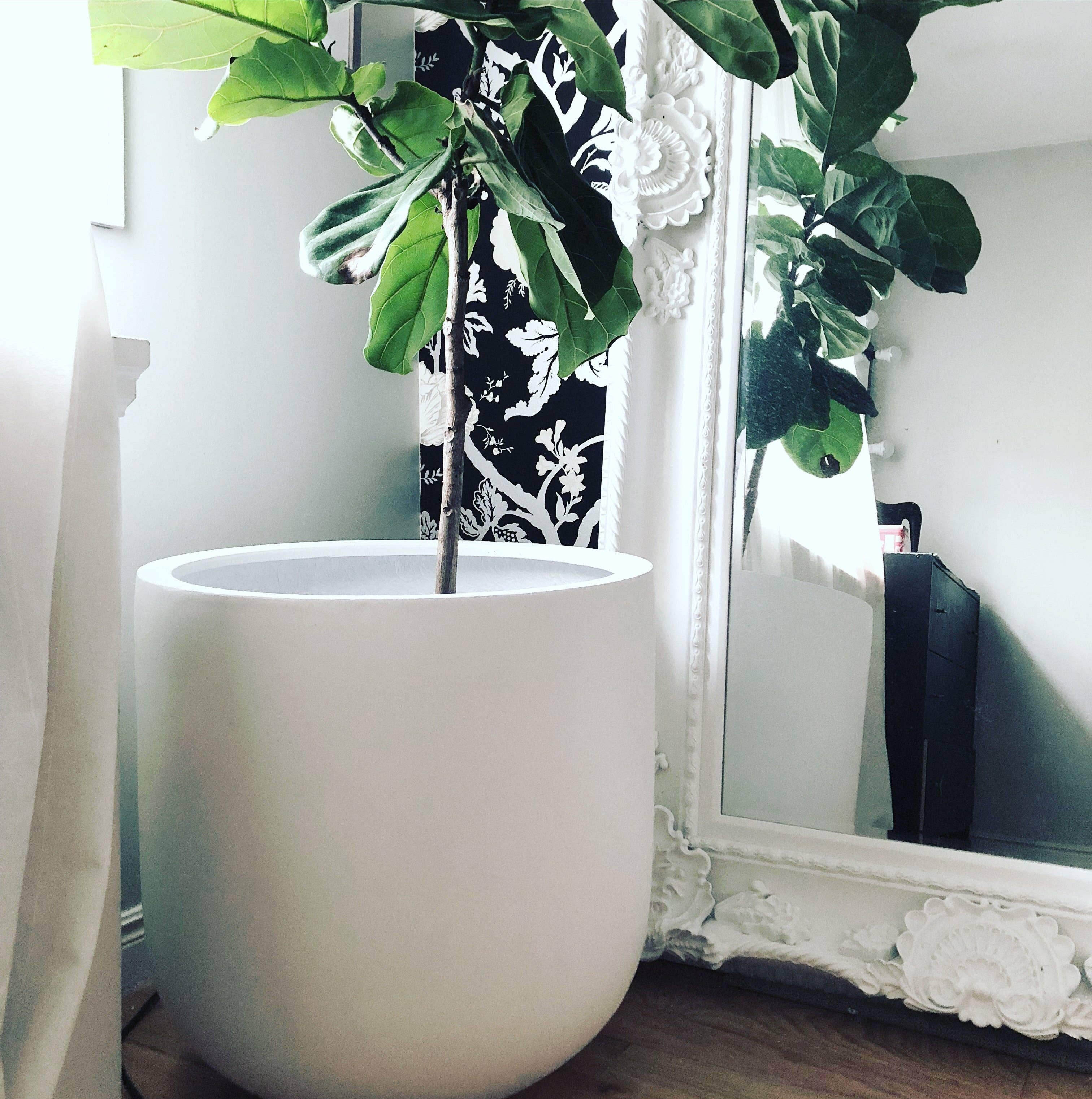 Common House Studio - Vendita all'ingrosso Vasi per piante - VASO ESSENZIALE | FIORIERA34