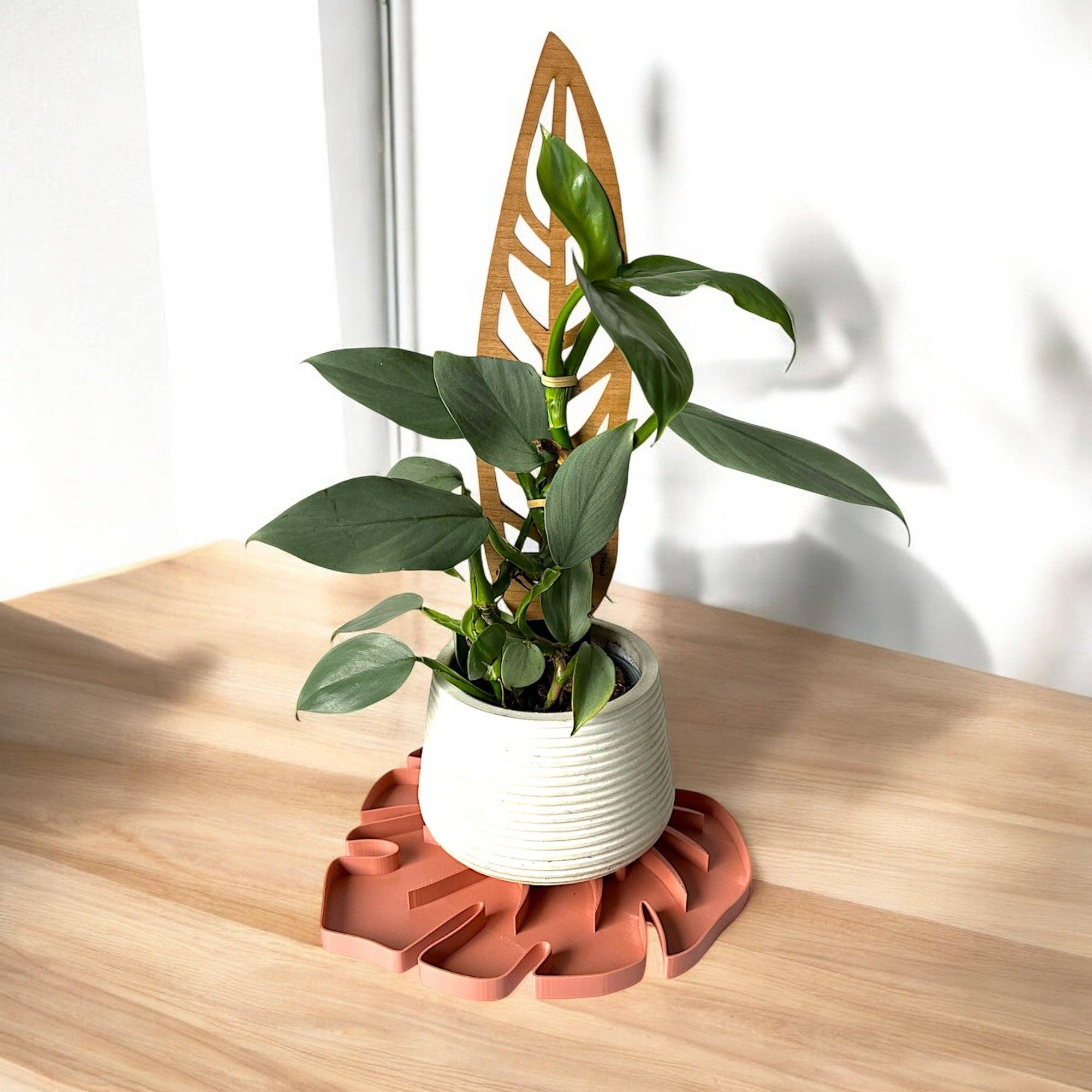 Treleaf - Wholesale Plant pot - Tera Sausr - Monstera Leaf-shaped Pot Saucer - Humidity Tray1